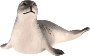Aspecto fiel de una foca real