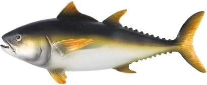 Decoración y modelo didáctico