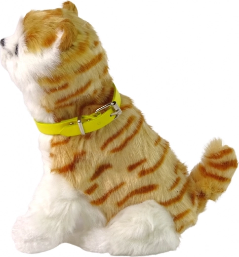 Aspecto adorable con collar