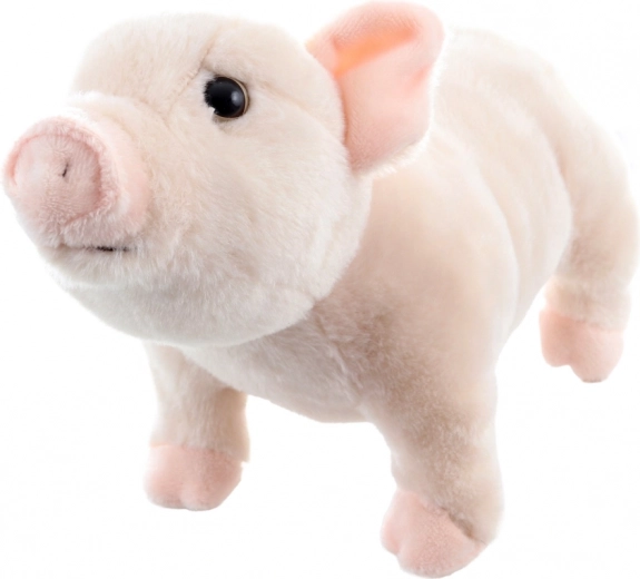 Ligero e ideal para viajar