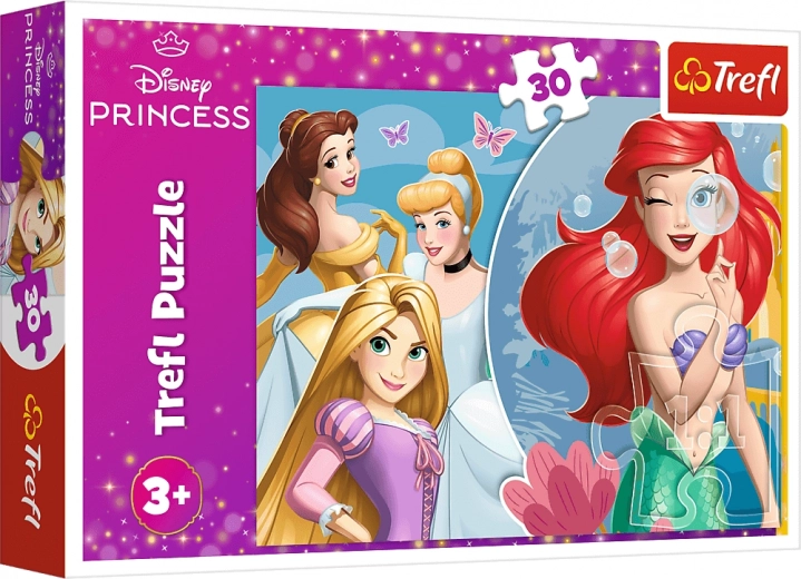 Motivo de princesas DISNEY PRINCESS