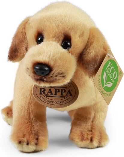 Relleno eco-friendly de PET reciclado