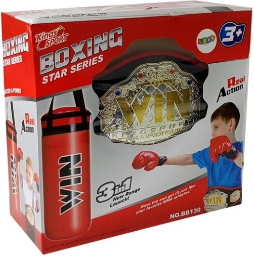 Juego de boxeo completo