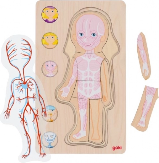Aprendizaje interactivo