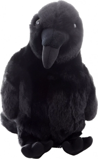 Aspecto realista y dimensiones ideales