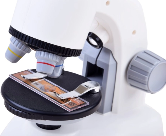 Tres niveles de aumento para un detalle nítido