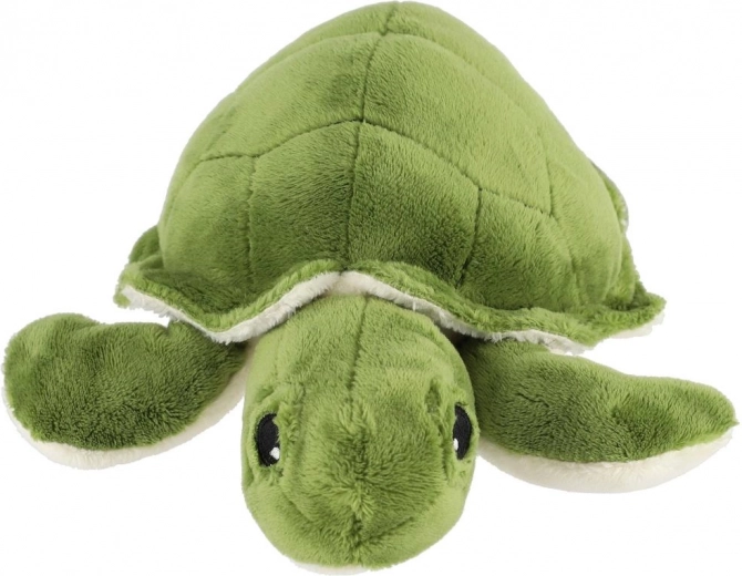 Dimensiones compactas para casa y viajes