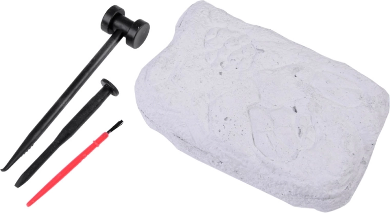 Auténtica experiencia arqueológica