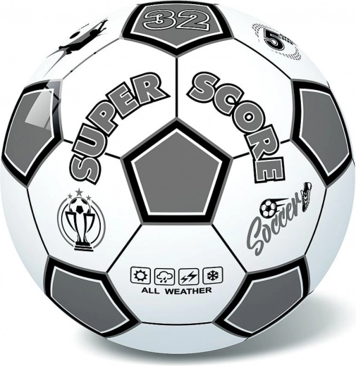 Vuelo estable gracias a 32 paneles