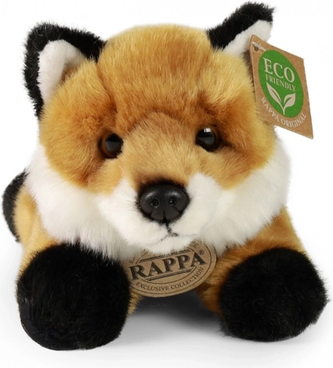 Colección exclusiva RAPPA