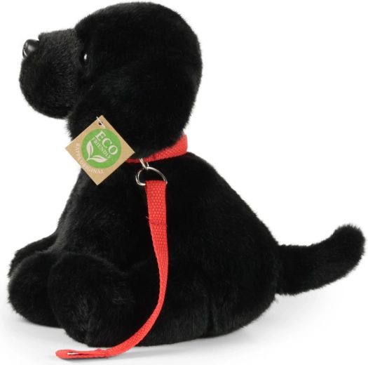 Relleno eco‑friendly de botellas PET