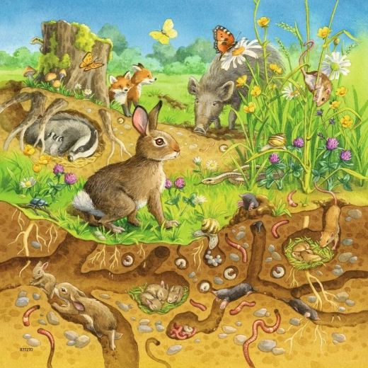 Animalitos en el bosque y bajo tierra