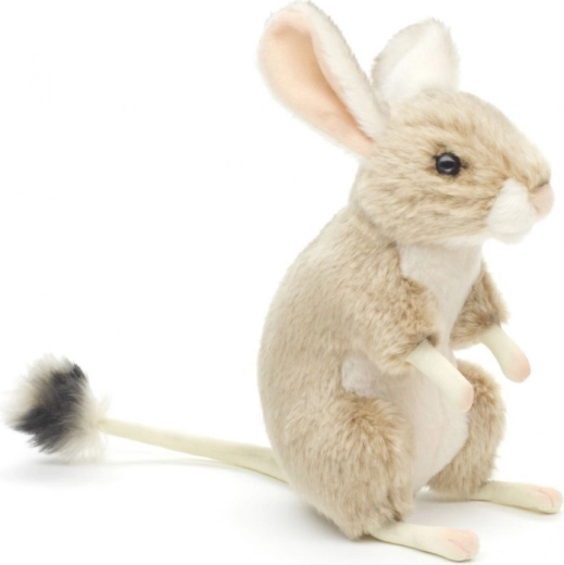 Detalles realistas del jerbo