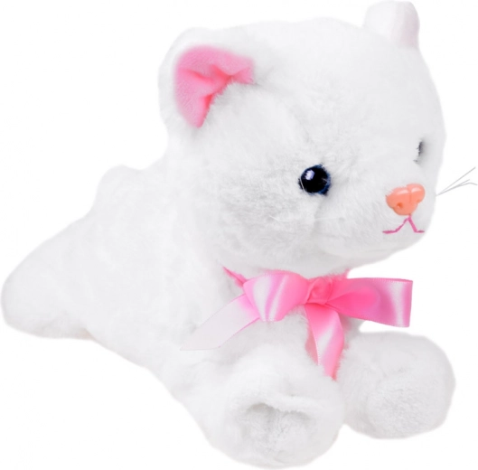 Divertidos movimientos acrobáticos