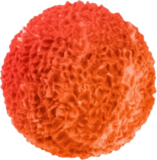 Tamaño compacto para la palma