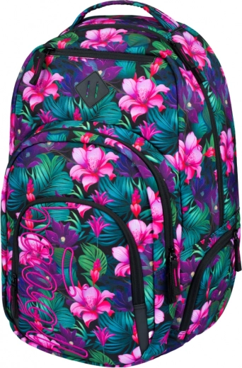 Organización práctica