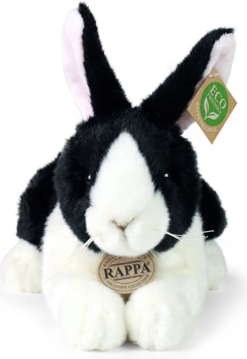 Colección exclusiva RAPPA