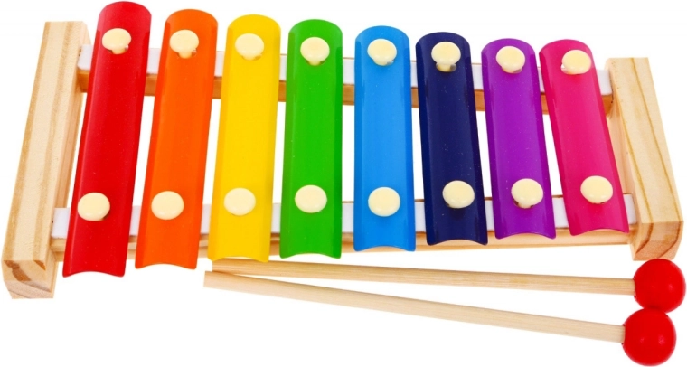 Set completo incluidas las baquetas