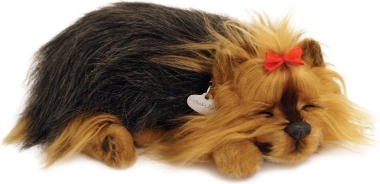 Sueño realista y suave ronquido