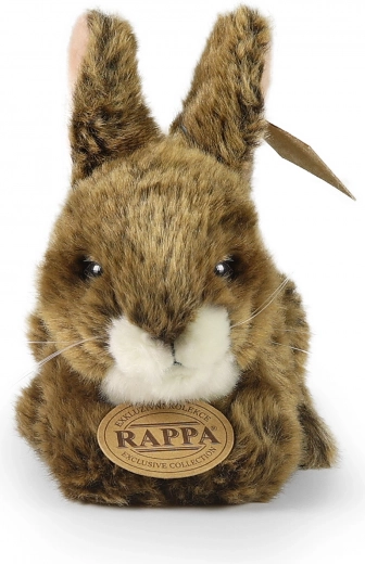 Colección exclusiva RAPPA