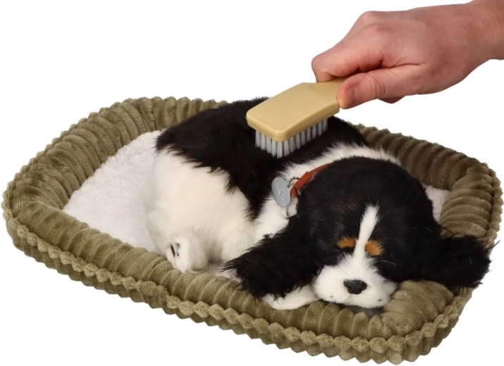 Experiencia interactiva