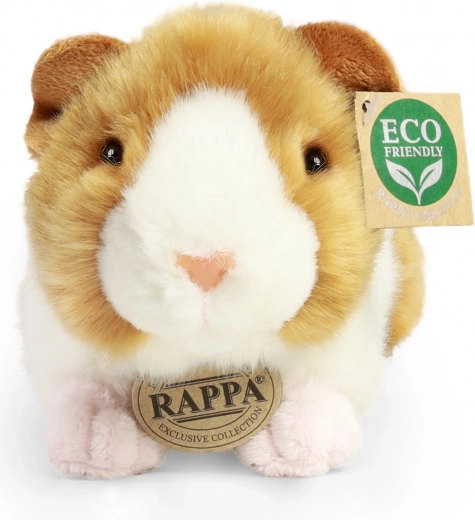 Relleno eco-friendly