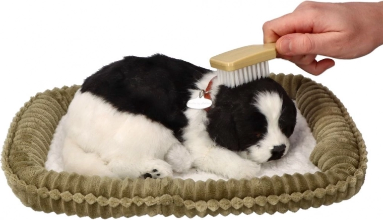 Cuidado interactivo y relajación