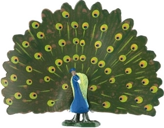 Colores realistas y detalles del plumaje