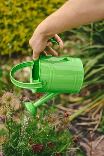 Placer de regar para pequeños jardineros