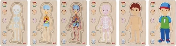 Conozca el cuerpo capa por capa