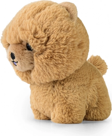 Adorable forma de Chow Chow de pie