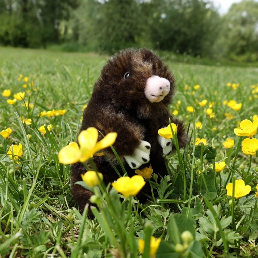 Detalles realistas y peluche suave