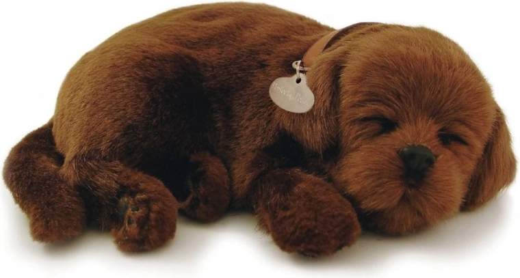 Efecto calmante de un cachorro dormido