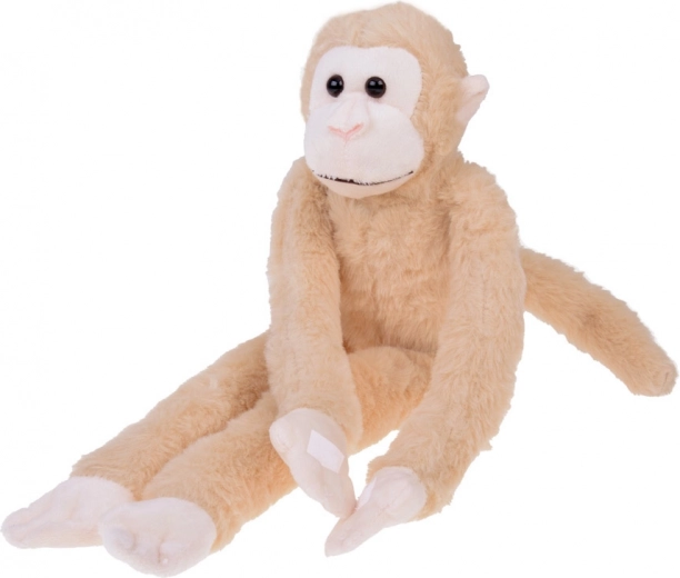 Peluche suave y aspecto adorable
