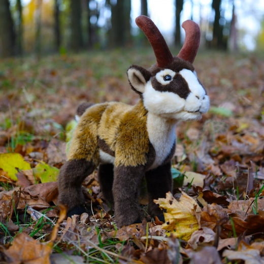 Materiales eco-friendly