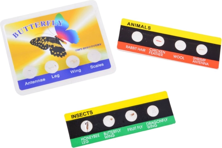 Tarjetas didácticas