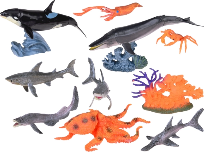 Amplia variedad de figuras