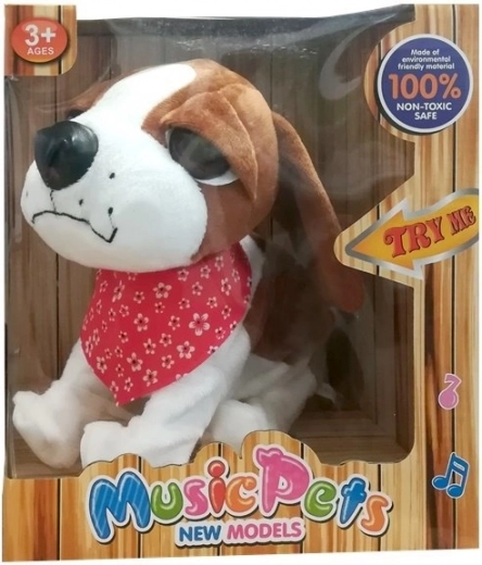 Regalo listo para entregar