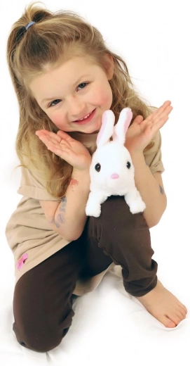 Casita incluida en el embalaje