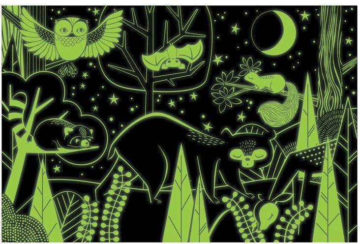 Visualiza el bosque nocturno
