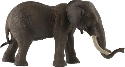 Plástico resistente para el juego diario