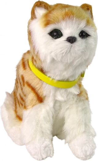 Pelaje suave y mullido