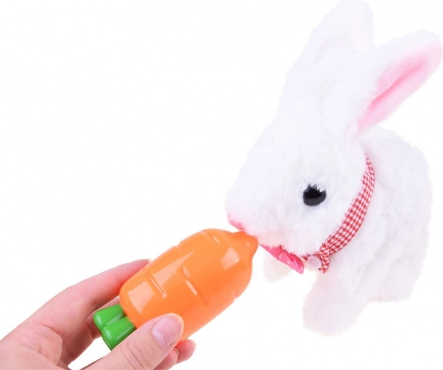 Alimentación divertida y aprendizaje de responsabilidad