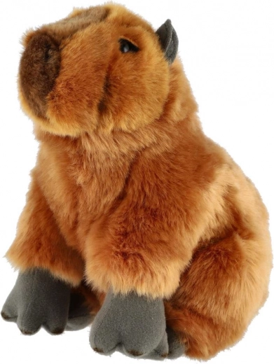 Aspecto realista que encanta