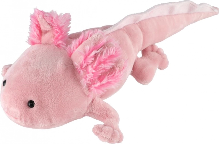 Seguro desde el nacimiento (0m+)