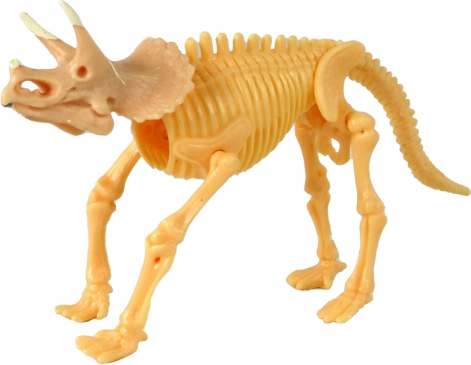 Esqueleto de dinosaurio para montar