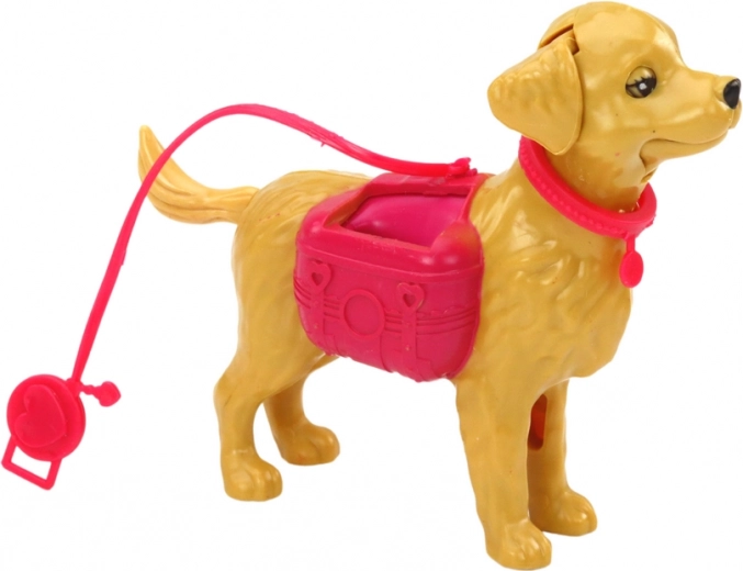 Perrito con correa para juegos de paseo
