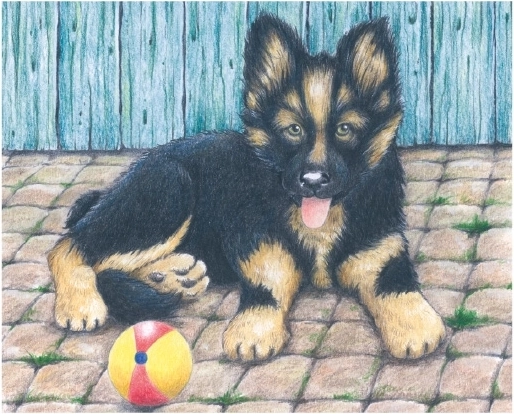 Perrito para una diversión juguetona