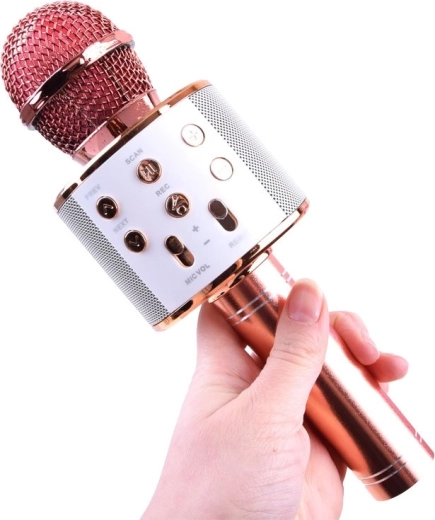 Karaoke Bluetooth en cualquier lugar