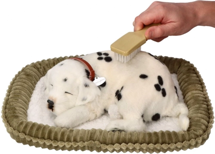 Cepillo para un cuidado delicado